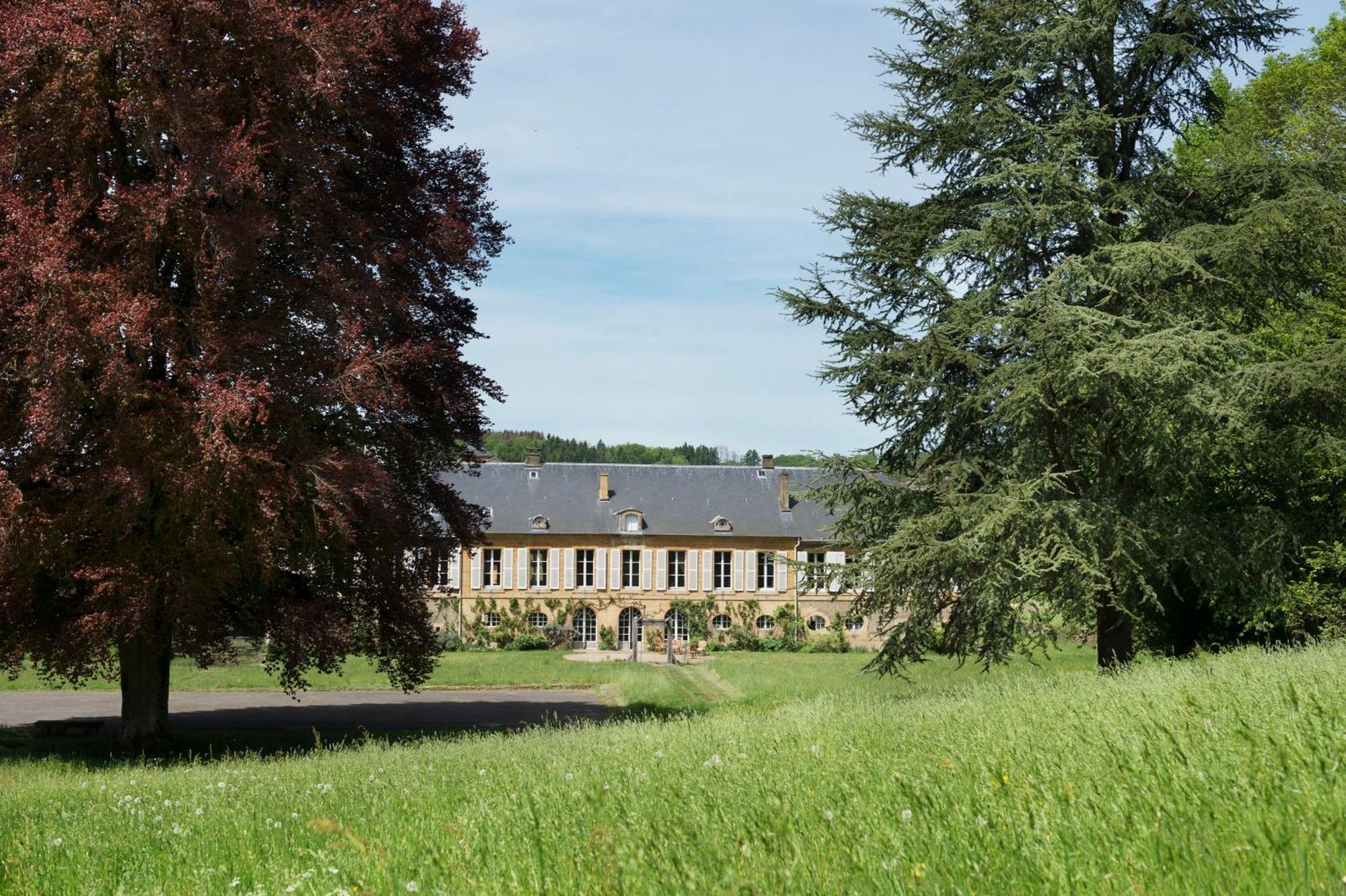 Chateau De Martigny Bed & Breakfast Colmey Exterior photo