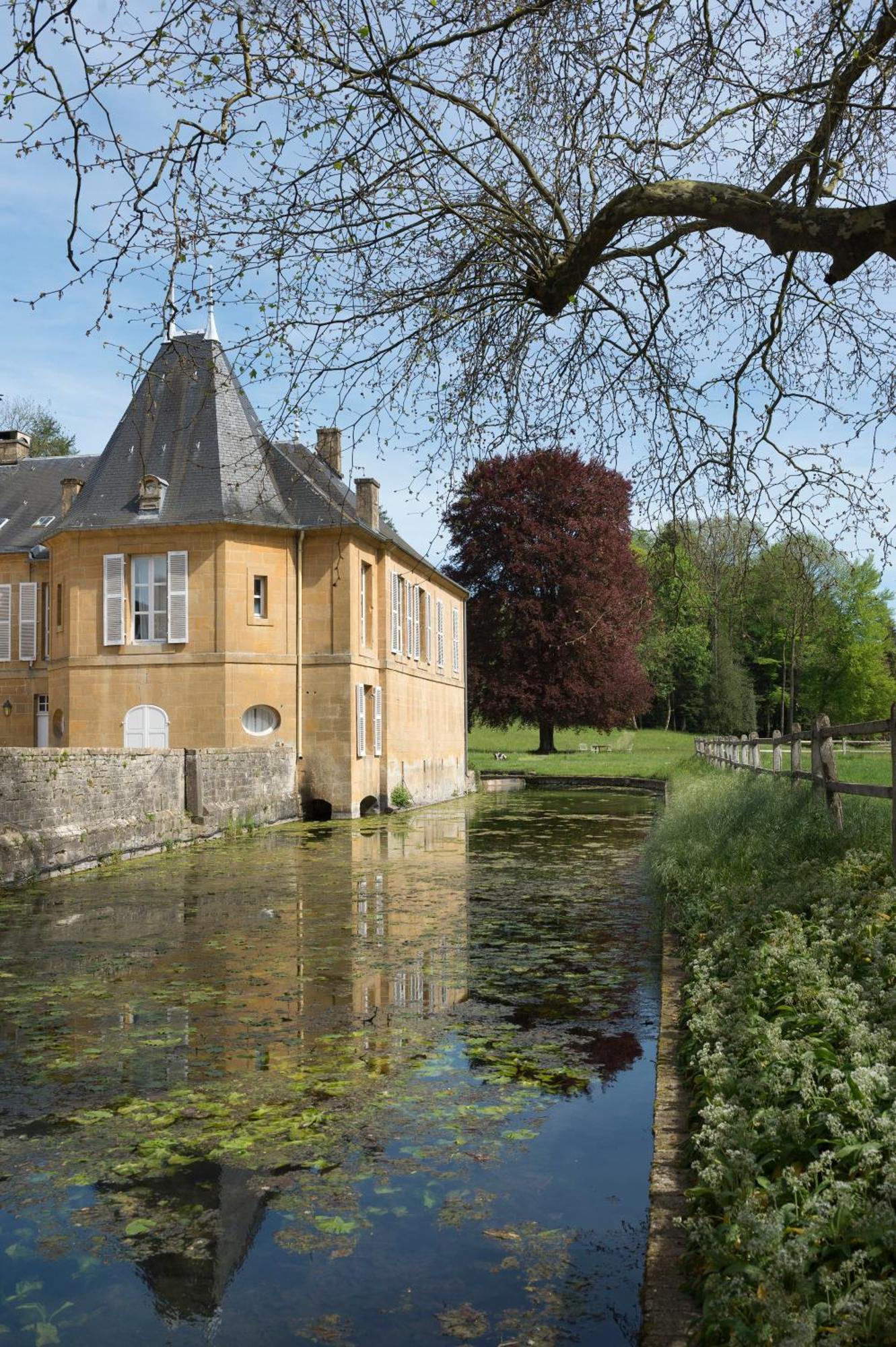 Chateau De Martigny Bed & Breakfast Colmey Exterior photo